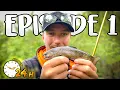 Download Lagu HOW MANY SPECIES CAN WE CATCH IN 24 HOURS? - EPISODE 1 | Team Galant