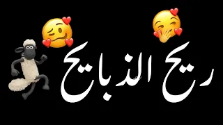 ريح الذبايح دوم امعبيه بيتو قابل شاشه سوداء حالات واتس بدون حقوق ترند تيك توك اغاني 2024 