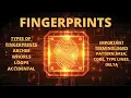 Types of fingerprints Arches Whorl and Loop Central pocket loop double loop ulnar radial etc