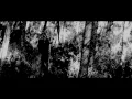 Art Diktator - HAYVAN (Official Video)