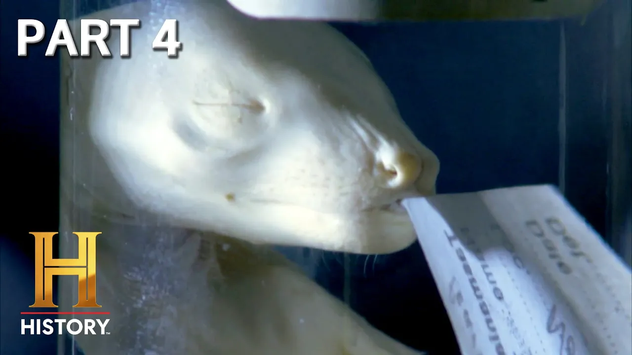 HISTORY channel featured image