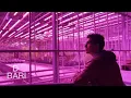 Prisma Glass - Pablo DaBari (Official Video)