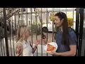 Visit Tucson Parody