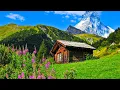 Download Lagu HEALING MUSIC FOR THE HEART, GENTLE MUSIC, CALMS THE NERVOUS SYSTEM AND PLEASES THE SOUL, ENJOY LIFE