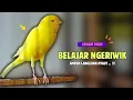 Kenari NGERIWIK❗Pancingan KENARI PAUD Belajar Bunyi Cocok Untuk Kenari Belajar Bunyi Ngeriwik |604
