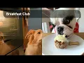 Top Food Inspired Pet Names 2025