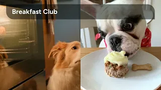 Top Food Inspired Pet Names 2025
