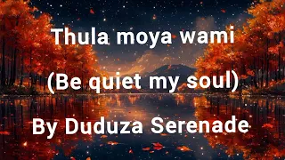 thula moya wam by duduza serenade be quiet my soul english subtitles 