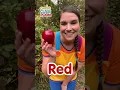 Red Yellow Green Blue