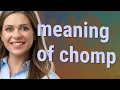 Chomp meaning of Chomp