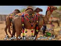 Download Lagu Camel Mandi