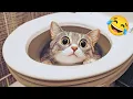 Download Lagu Momentos Superdivertidos con Animales 🤣 #31 | Videos de Mascotas Divertidísimos y Tiernos