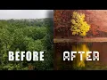 Autumn Photographers Who Ignore This Will Miss Peak Colors