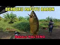 MANCING KE BAHAUR LAGI MENCARI PAPUYU BABON (26/08/2025) #sebangau  #papuyu #kalteng  #mancing