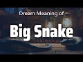 Big Snake Dream Meaning Symbolism Interpretation Psychology