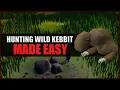 Quick Guide to Hunting Wild Kebbit in OSRS Hunter Guide Hunters Rumours