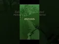 Download Lagu Arti dari lagu est ce que tu m'aimes