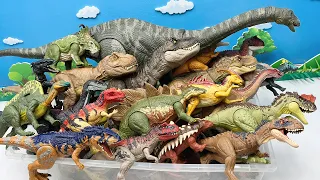 50 Dinosaur Box With Apatosaurus! Giant Dinos 41+ Inch And Tyrannosaurus