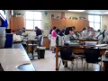 Frog Dissection
