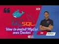 How to setup MySql Database in Docker