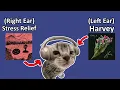 Right Ear Stress Relief Left Ear Harvey