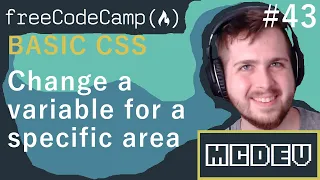 Change a variable for a specific area Basic CSS Solution Overview