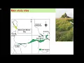 Julien Petillon Ecology conservation and functioning of European salt marshes