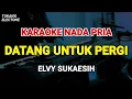 Lagu DATANG UNTUK PERGI - KARAOKE NADA PRIA [ ELVY SUKAESIH ]