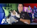 Live PD Police Patrol - From One Call to the Next Full Episode