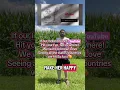 Download Lagu Sayin hi! #music #shortvideo #fyp #short #shorts #poppunk #sad #vibes #indiana #foryou