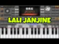 Lali janjine - cover ORG 2020