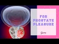 We-Vibe Vector Prostate Massager