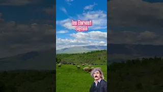                       دندنها