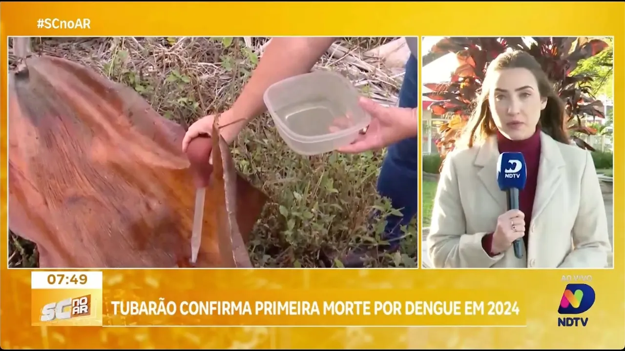 Tubarão registra primeira morte por dengue deste ano