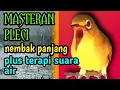Download Lagu MASTERAN tembakan pleci sejalur dan panjang plus terapi suara air.