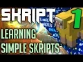 Making Simple Skripts 1 - Skript Tutorials