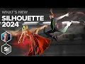 Silhouette 2024 - A Quick Look at Everything New Boris FX