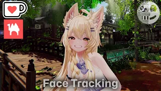 Mayo - Face Tracking Add-on