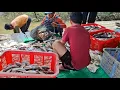 Download Lagu YANG KALIAN TUNGGU-TUNGGU FULL PENJUALAN HASIL PUKAT HAMPANG