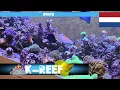 Download Lagu Update! TE PROPER WATER en REEF FACTORY GEAR