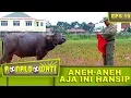 Lagu Bang Rojak Nantangin Si Keling - Ronaldowati Eps 19 Part 1