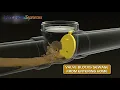 Check Valve Non Return Valve
