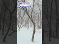 A Winter Storm Hit Parts Of Eastern Minnesota On Sunday