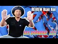 Lagu REVIEW PAKET SHOWA SES DEERRRRR, HARGA RAMAH KANTONG DAPAT IKAN BERKUALITAS DAN GRATIS ONGKIR