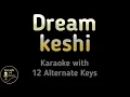 Download Lagu keshi - Dream Karaoke Instrumental Lower Higher Female \u0026 Original Key