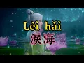 LEI HAI - 淚海 #tz88 #chinesesong #chineselovesong #pinyinlyrics #mandarinsong