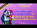 PEGANDO FOGO - LARA SILVA part POCAH - KARAOKE DEMONSTRAÇÃO
