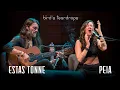 Download Lagu Bird's Teardrops || Estas Tonne feat. Peia || Ashland, Oregon 2018