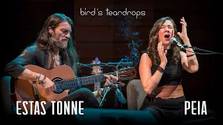 Bird's Teardrops || Estas Tonne feat. Peia || Ashland, Oregon 2018