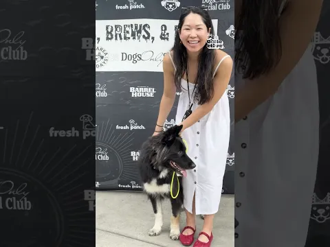 Barks Brews And Boos Dog Day Was Awesome!! 🎃🐕